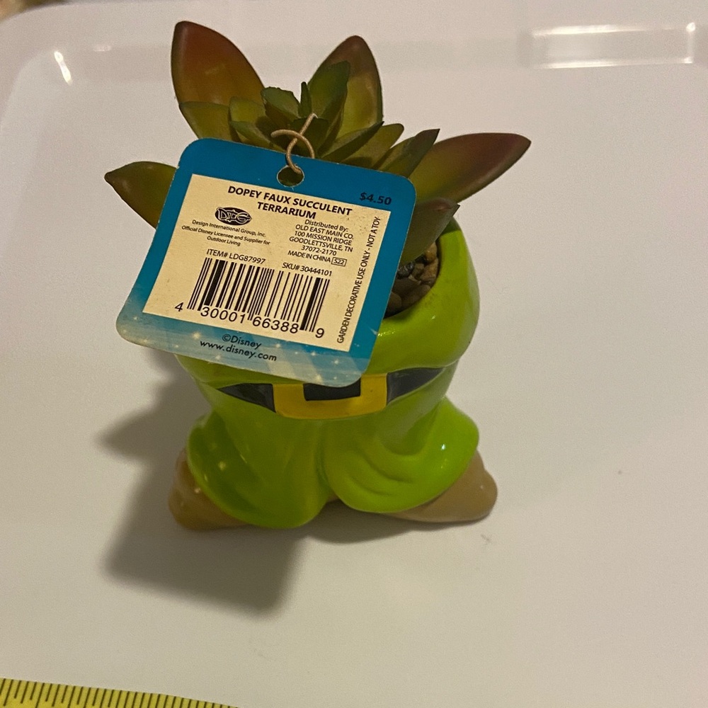 Disney dopey Succulent terrarium